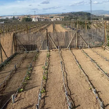 Cal Castla